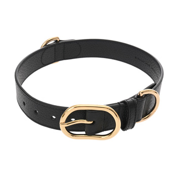 グッチ ラージ/エクストララージ ペット カラー 犬用首輪 ブラック 695256 キャンバス/レザー ユニセックス 【other】