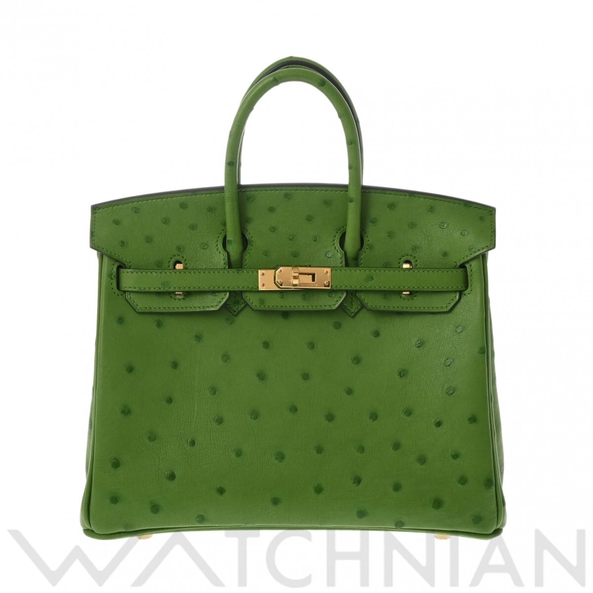 エルメス バーキン 25 ヴェールユッカ/ゴールド金具 オーストリッチ レディース バッグ 【未使用】【bag】